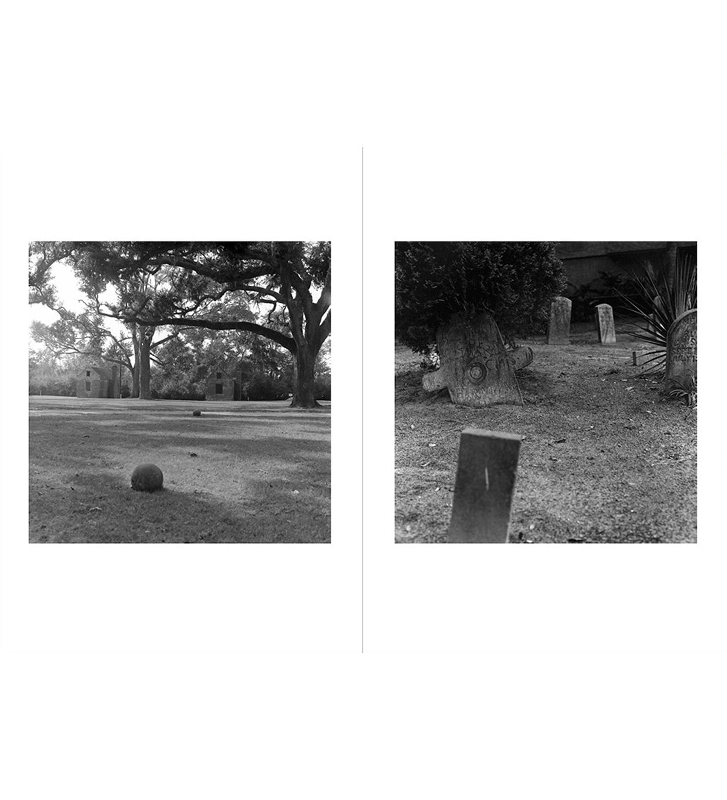 Carrie Mae Weems: Sea Islands (Limited edition with signed print)