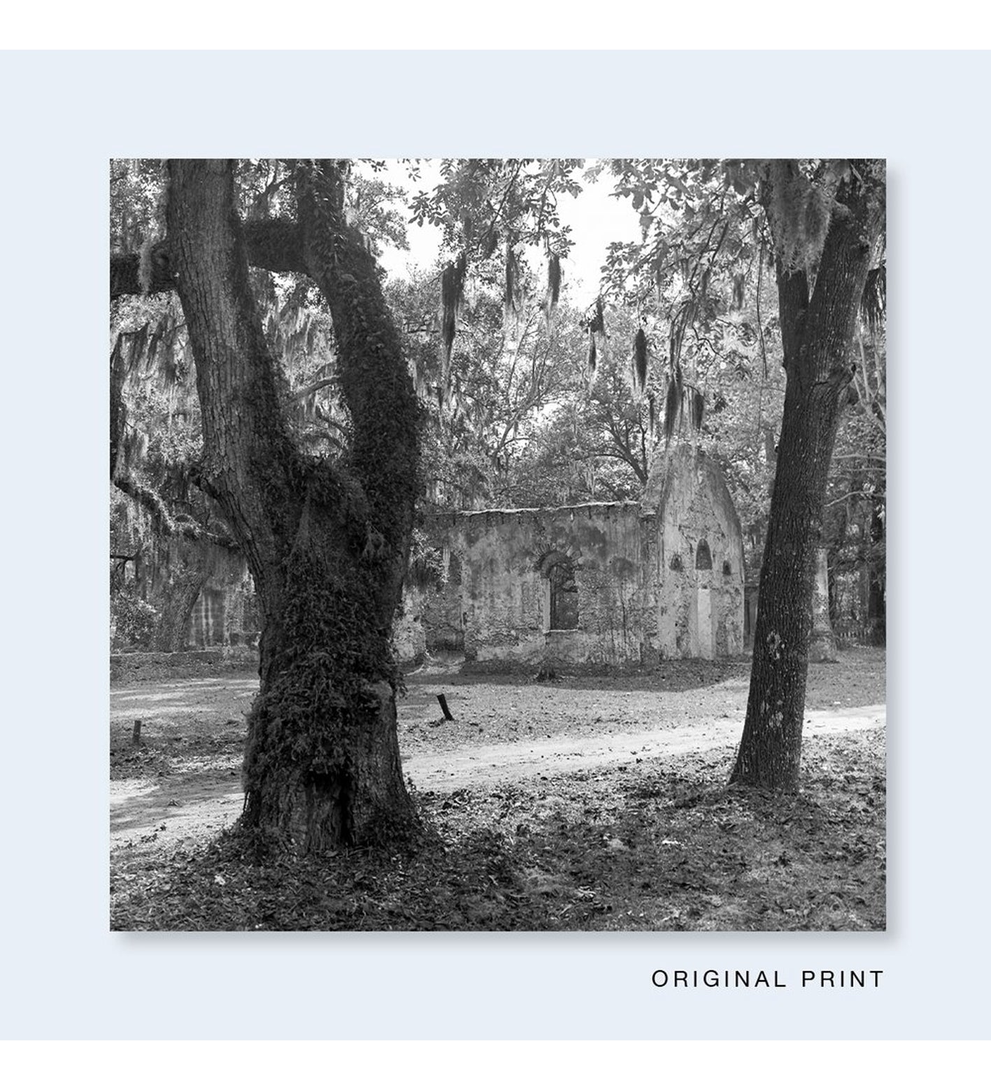 Carrie Mae Weems: Sea Islands (Limited edition with signed print)