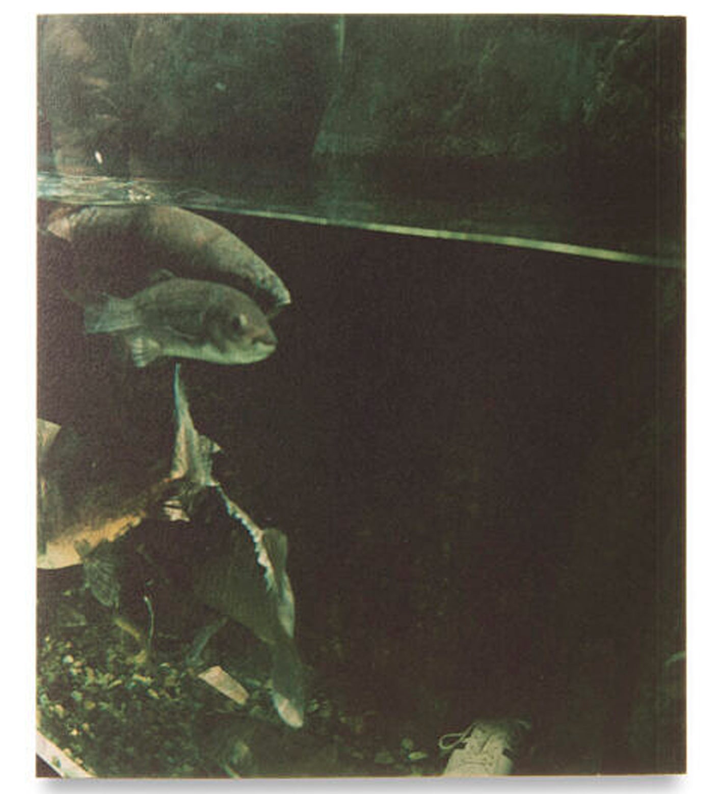 Mikiko Hara: Small Myths