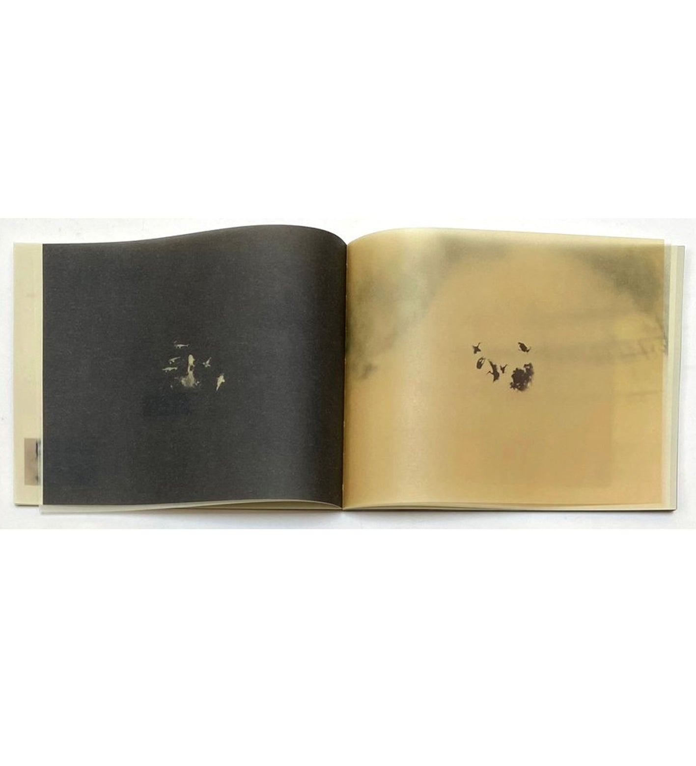 Miho Kajioka: So it Goes, So it Goes, So it Goes (signed, out of print)