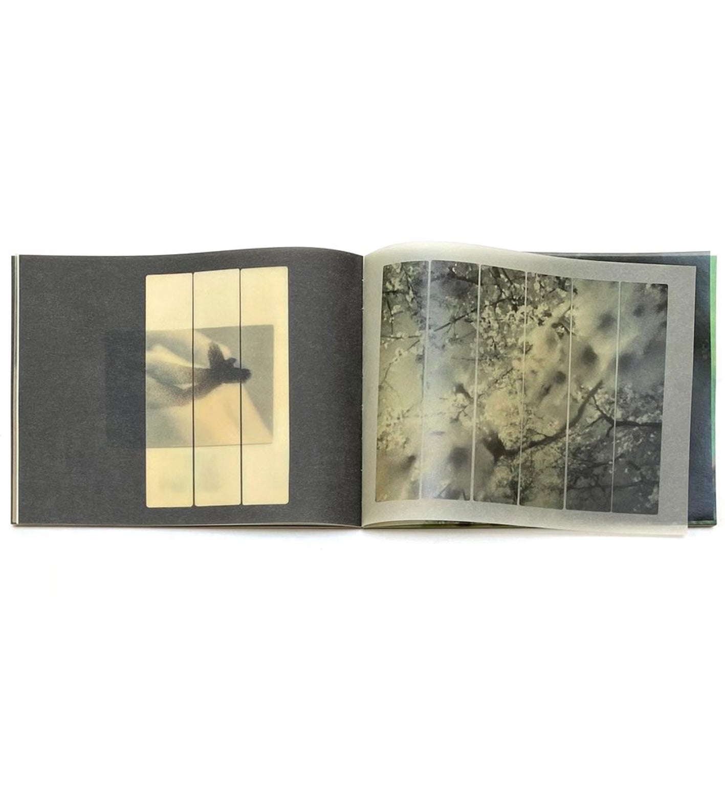 Miho Kajioka: So it Goes, So it Goes, So it Goes (signed, out of print)