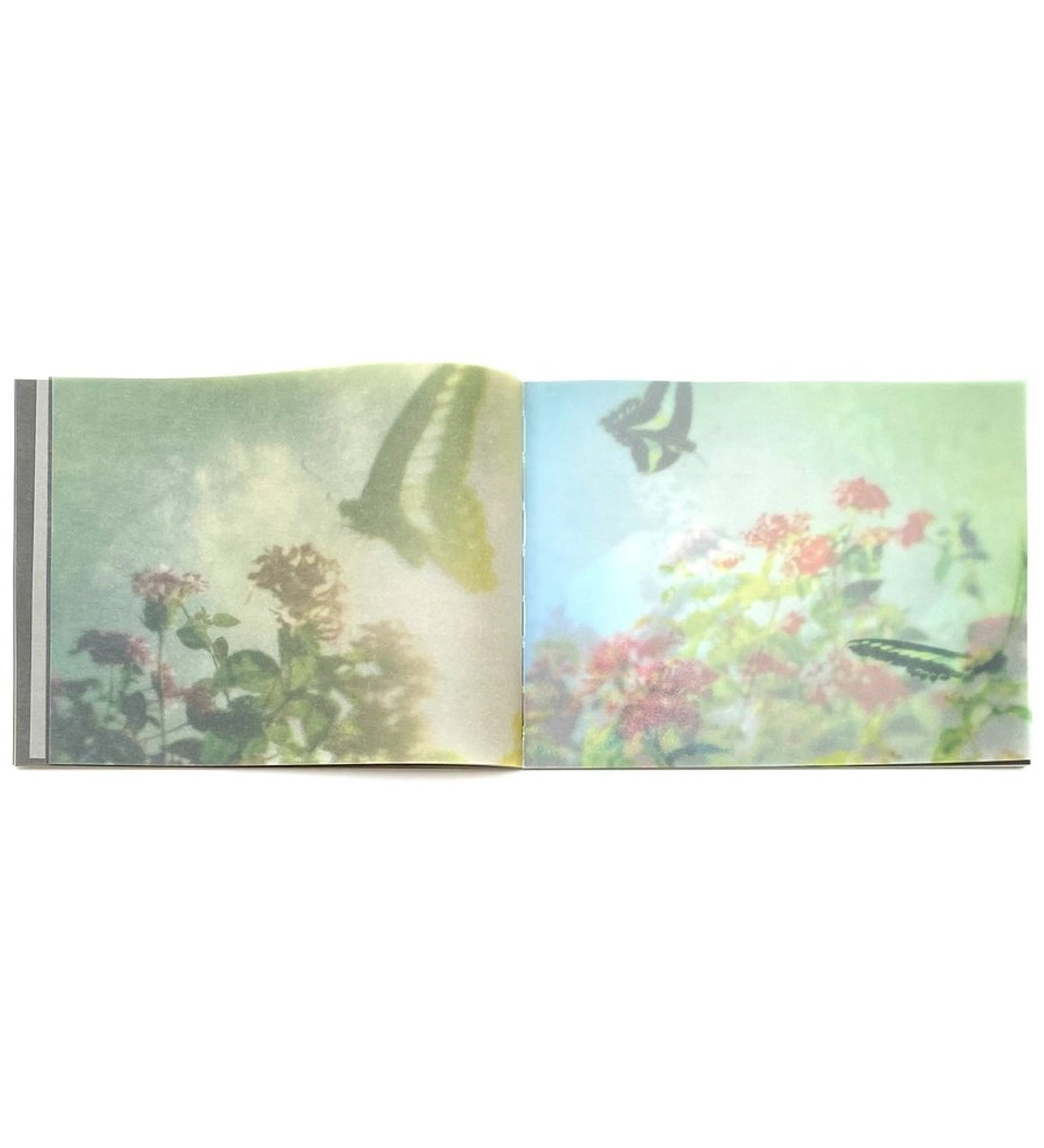 Miho Kajioka: So it Goes, So it Goes, So it Goes (signed, out of print)