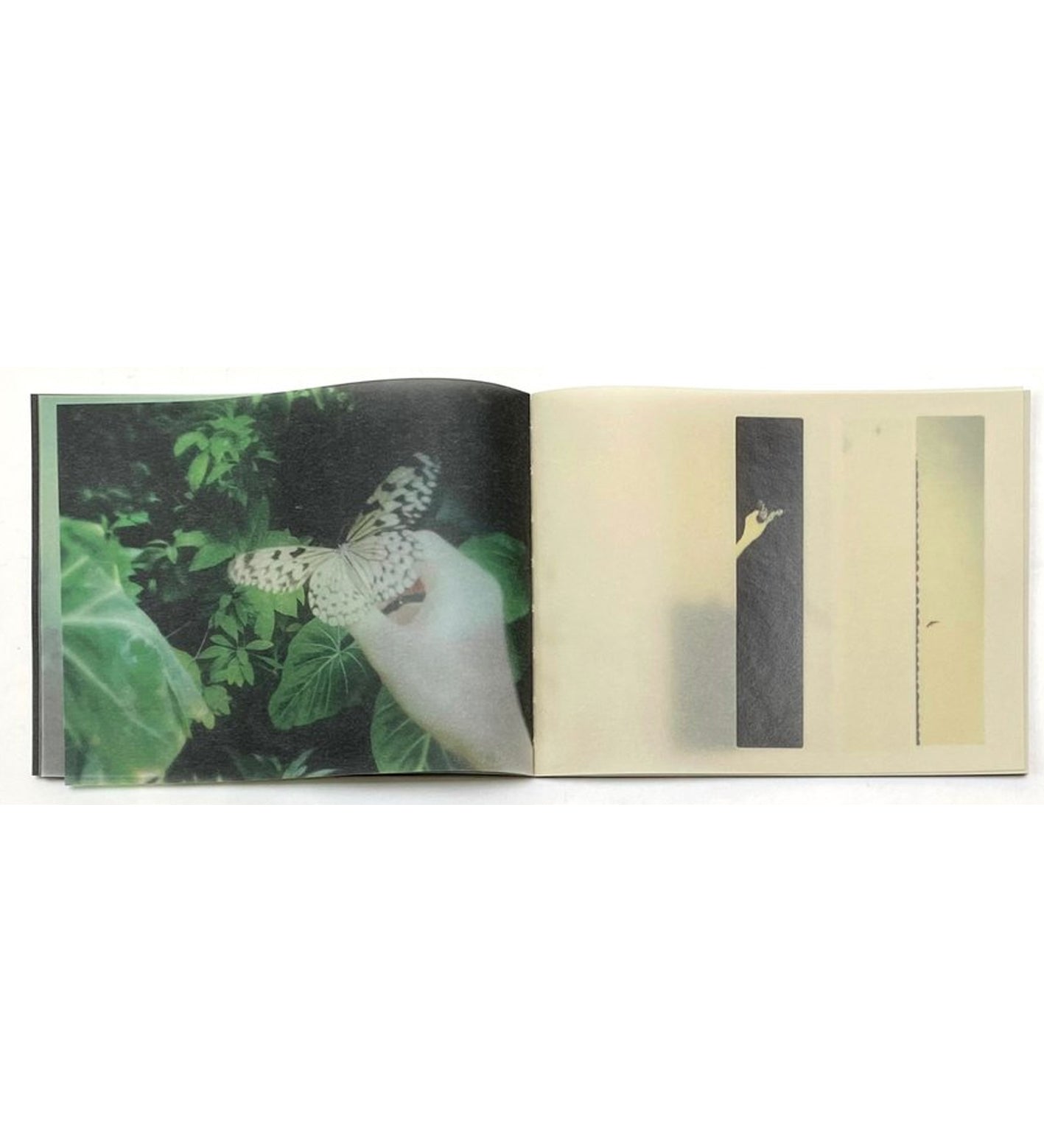 Miho Kajioka: So it Goes, So it Goes, So it Goes (signed, out of print)
