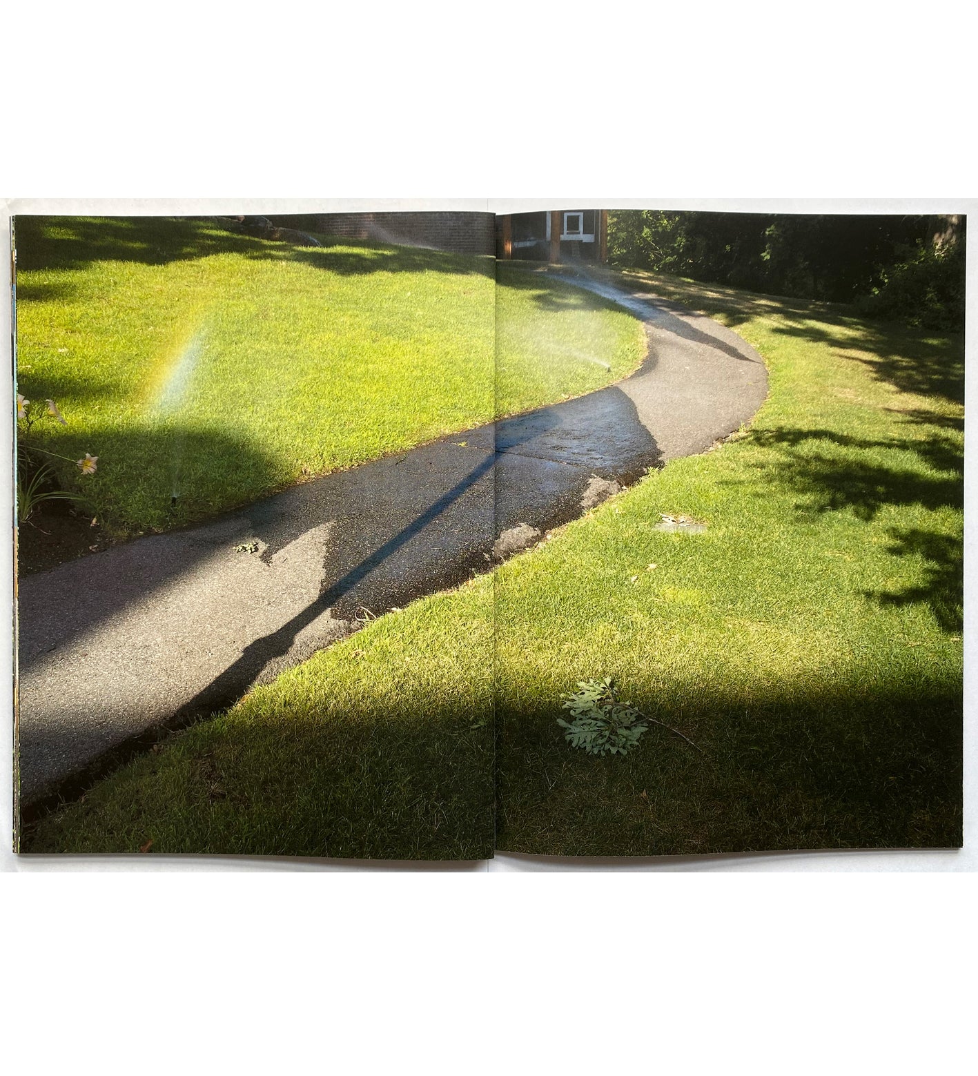 Neil Drabble: Some Pictures (signed)