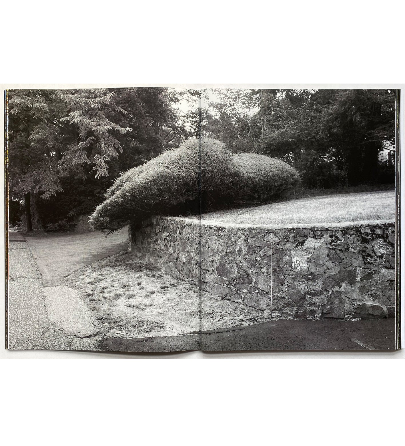 Neil Drabble: Some Pictures (signed)