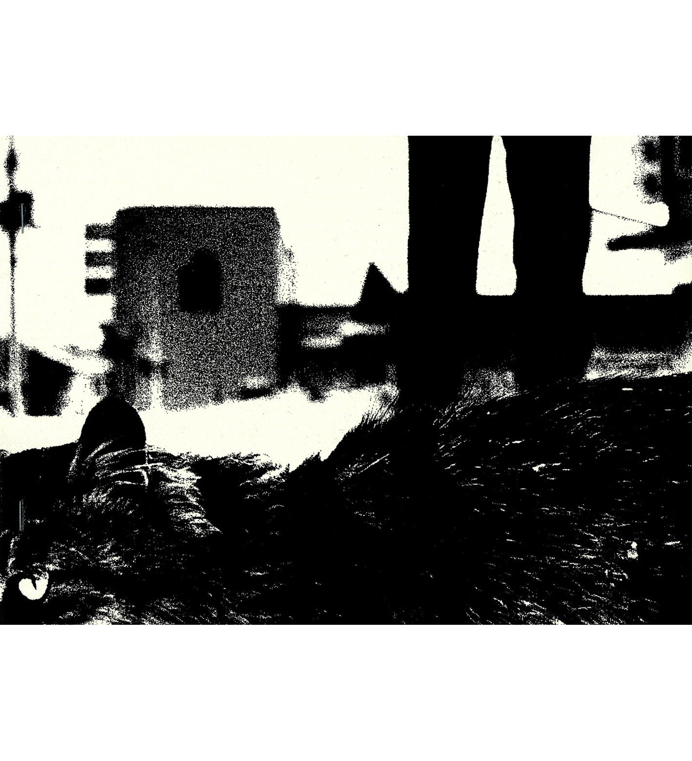 Daido Moriyama: Stray Cats (Signed)