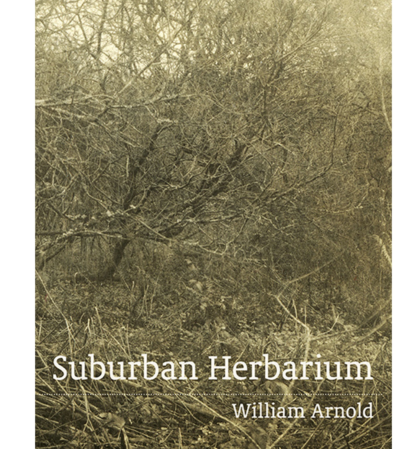 William Arnold: Suburban Herbarium