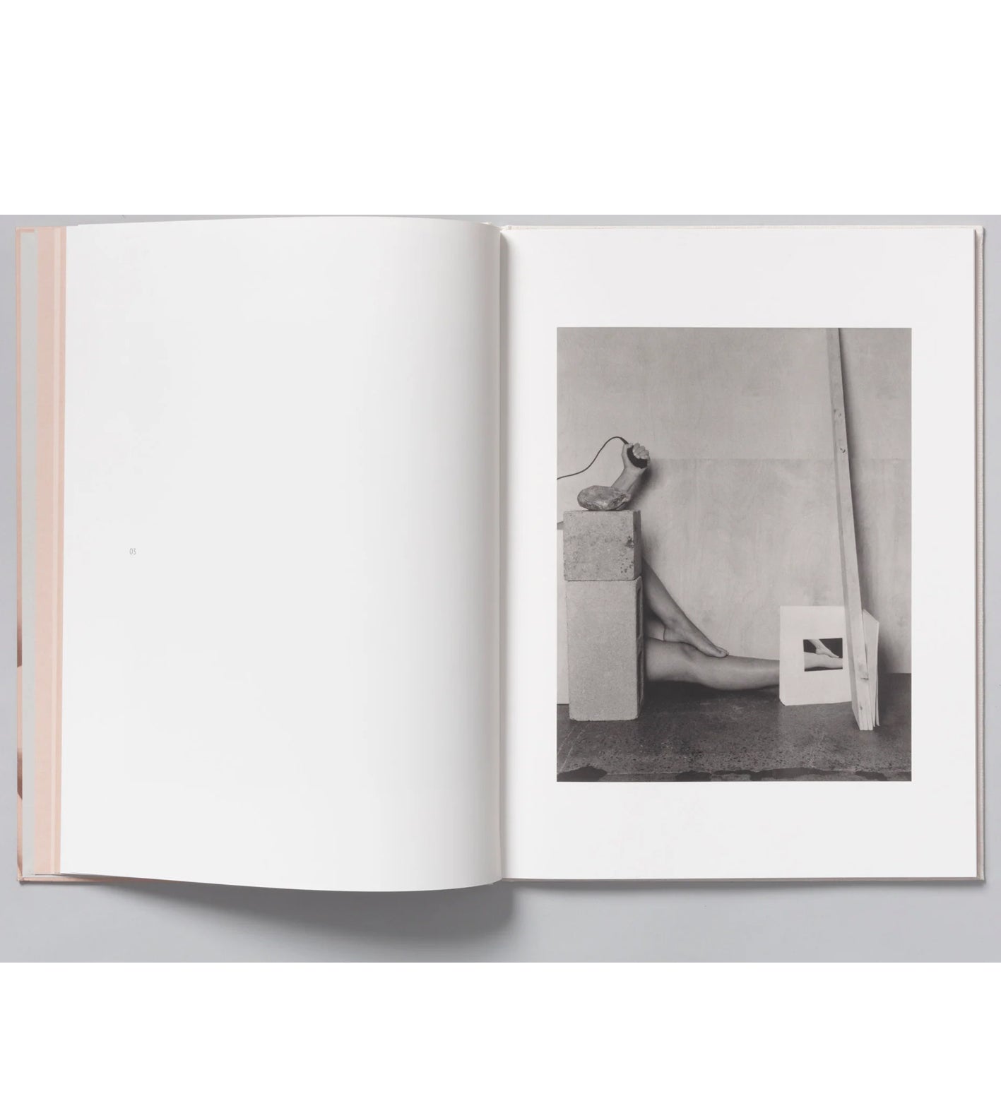 Tarrah Krajnak: Master Rituals II: Weston's Nudes (signed and numbered)