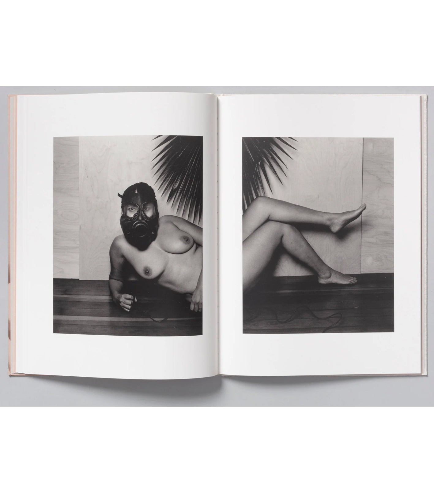 Tarrah Krajnak: Master Rituals II: Weston's Nudes (signed and numbered)