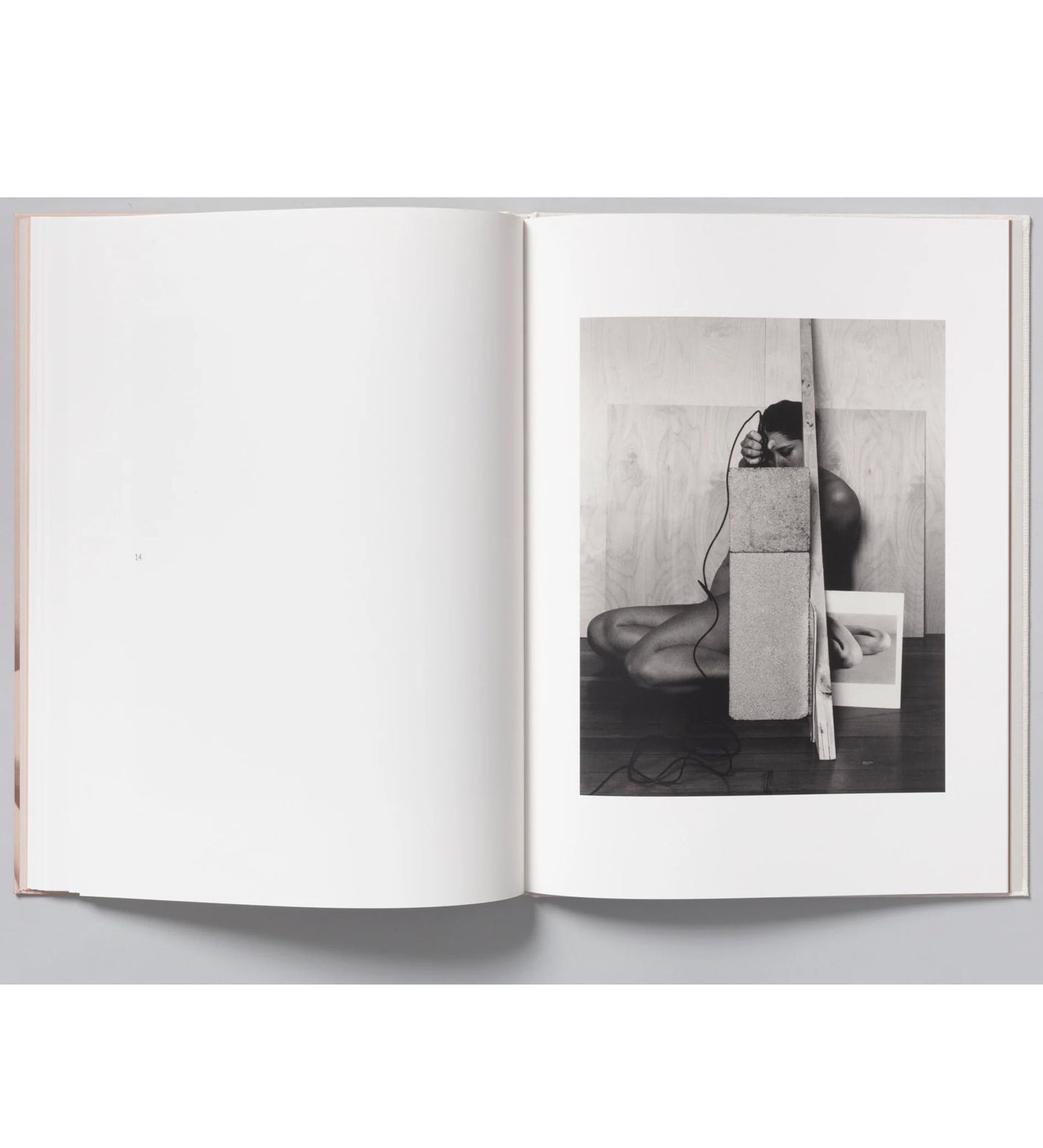 Tarrah Krajnak: Master Rituals II: Weston's Nudes (signed and numbered)
