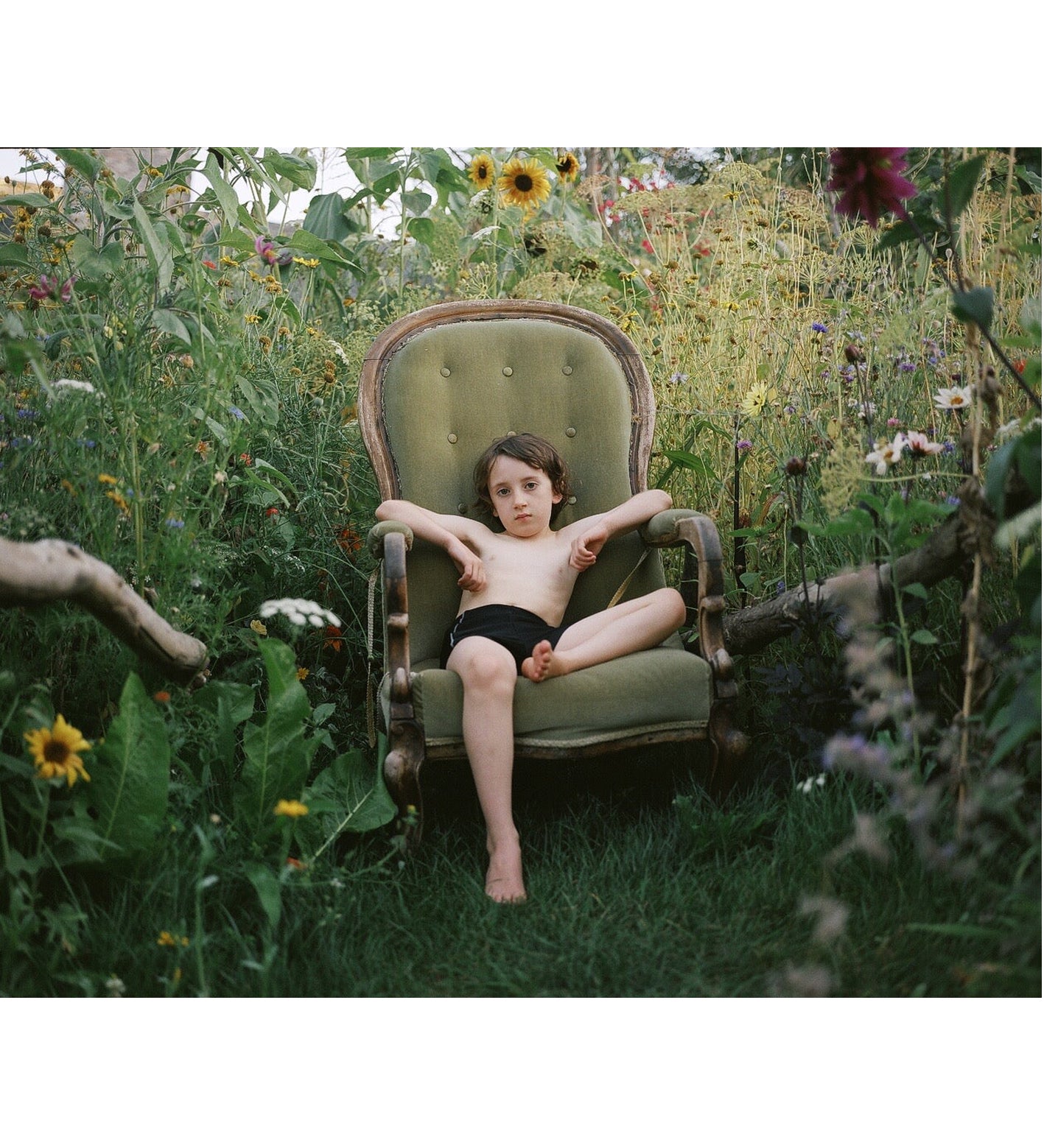 Siân Davey: The Garden (Signed)