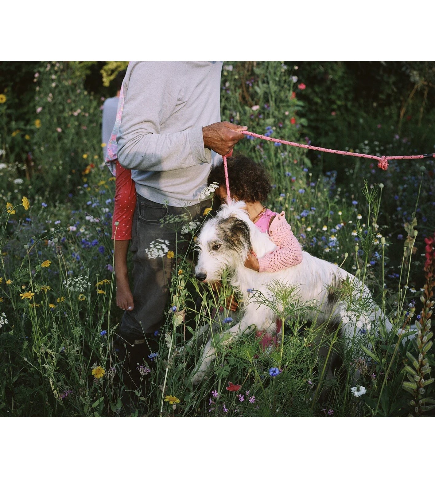 Siân Davey: The Garden (signed)