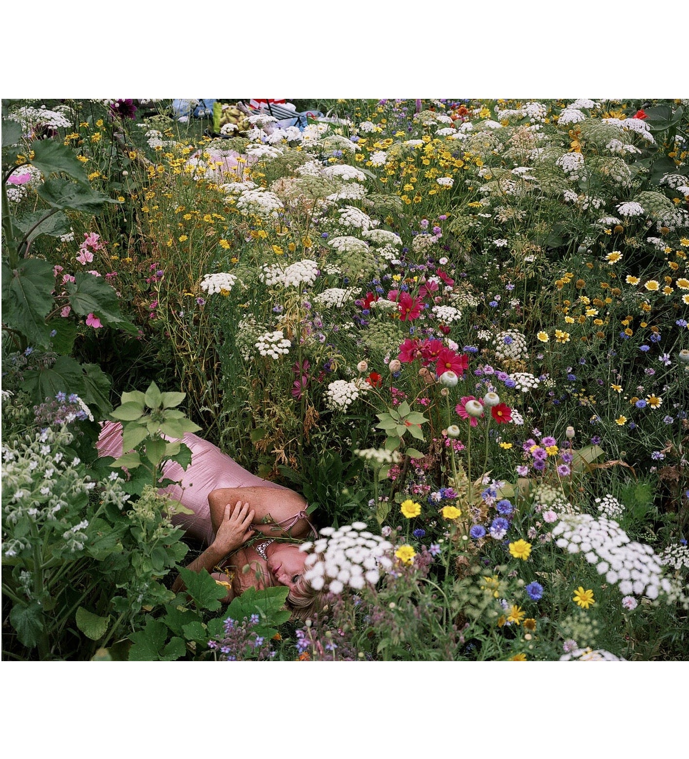 Siân Davey: The Garden (Signed)