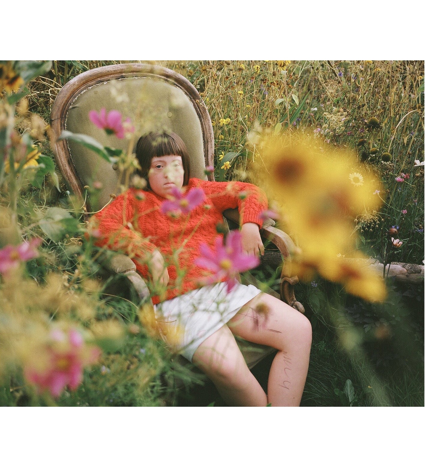 Siân Davey: The Garden (Signed)