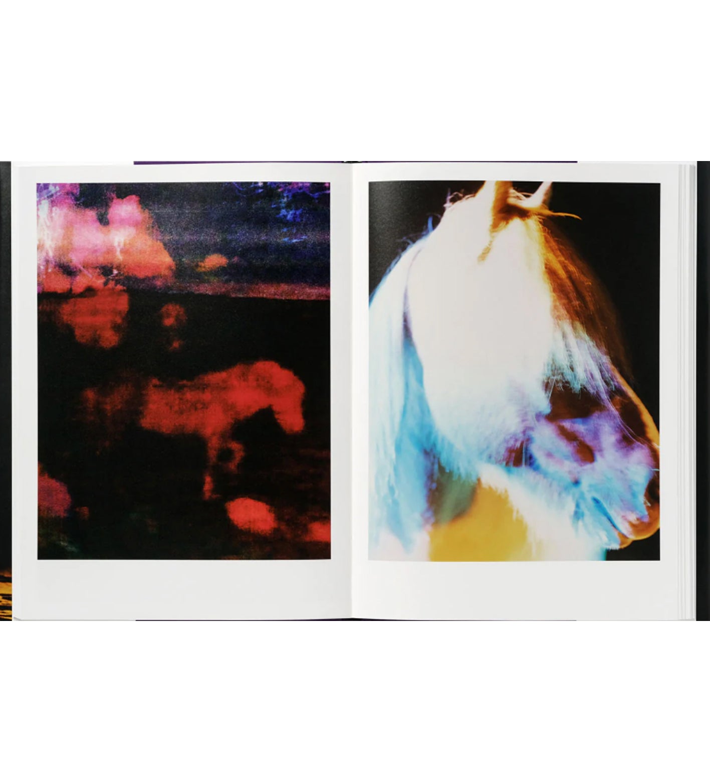 Gareth McConnell: The Horses