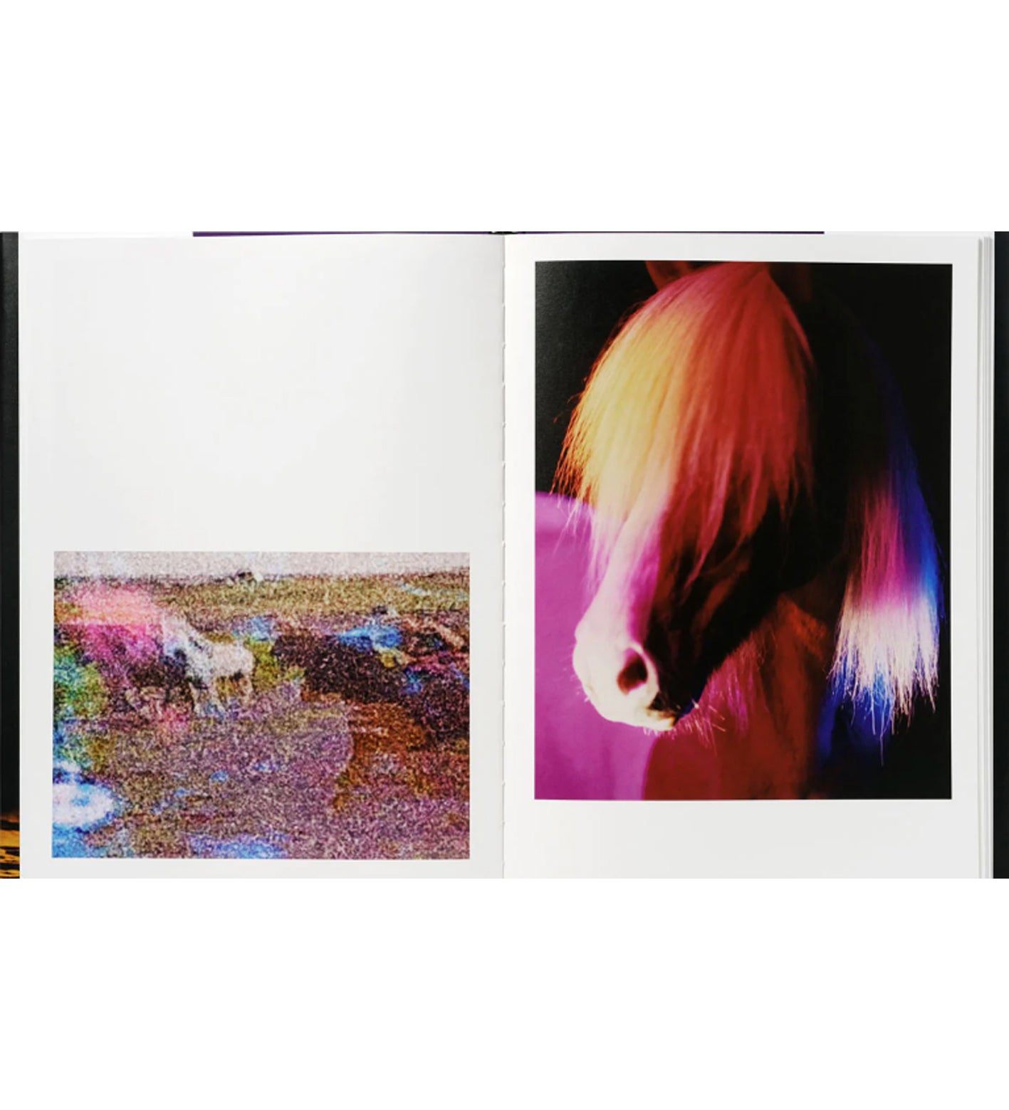Gareth McConnell: The Horses