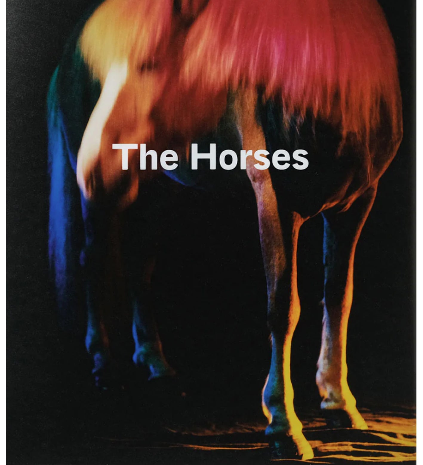 Gareth McConnell: The Horses