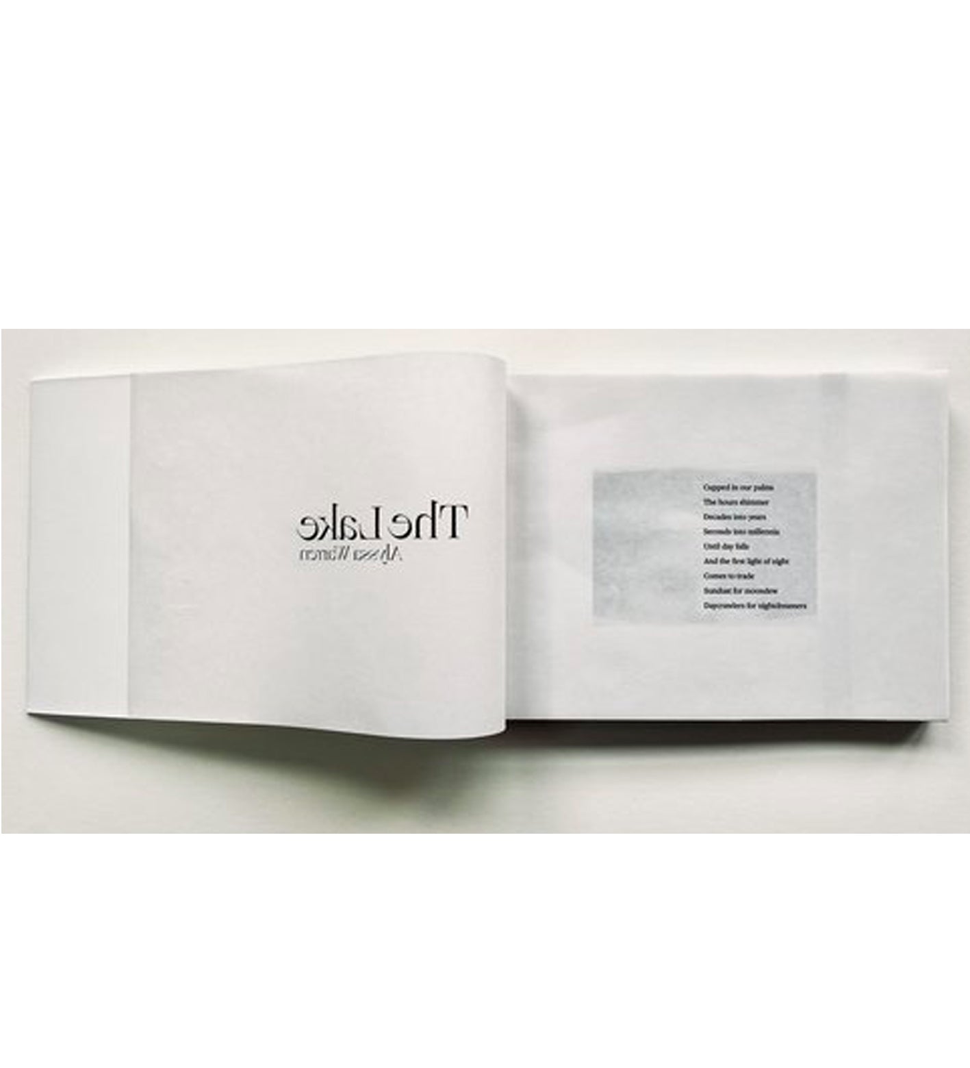 Alyssa Warren: The Lake (signed & numbered)