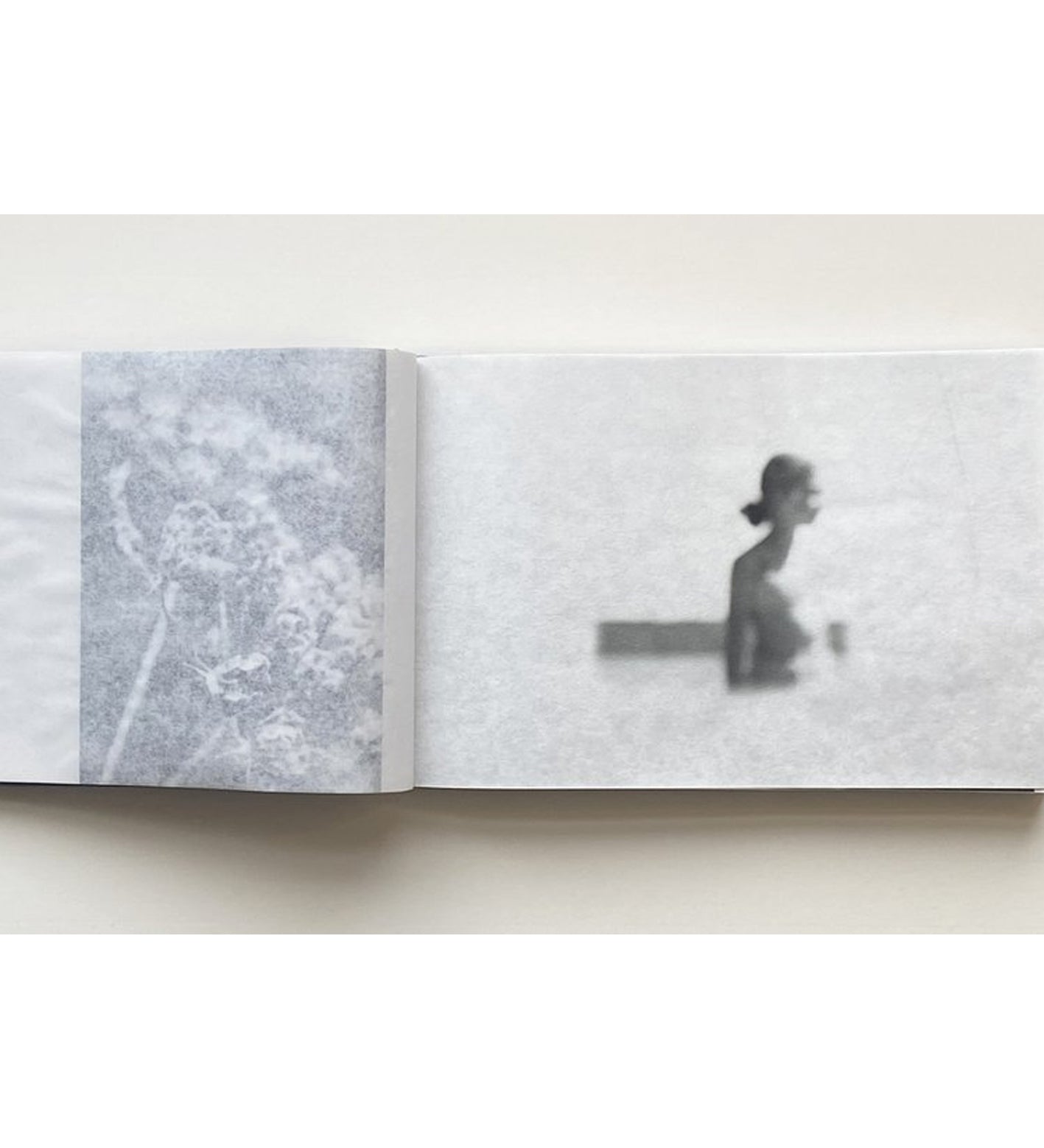 Alyssa Warren: The Lake (signed & numbered)