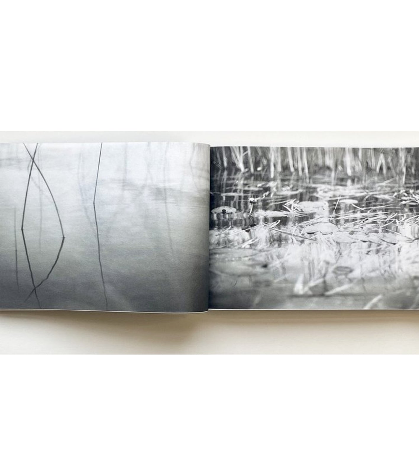 Alyssa Warren: The Lake (signed & numbered)