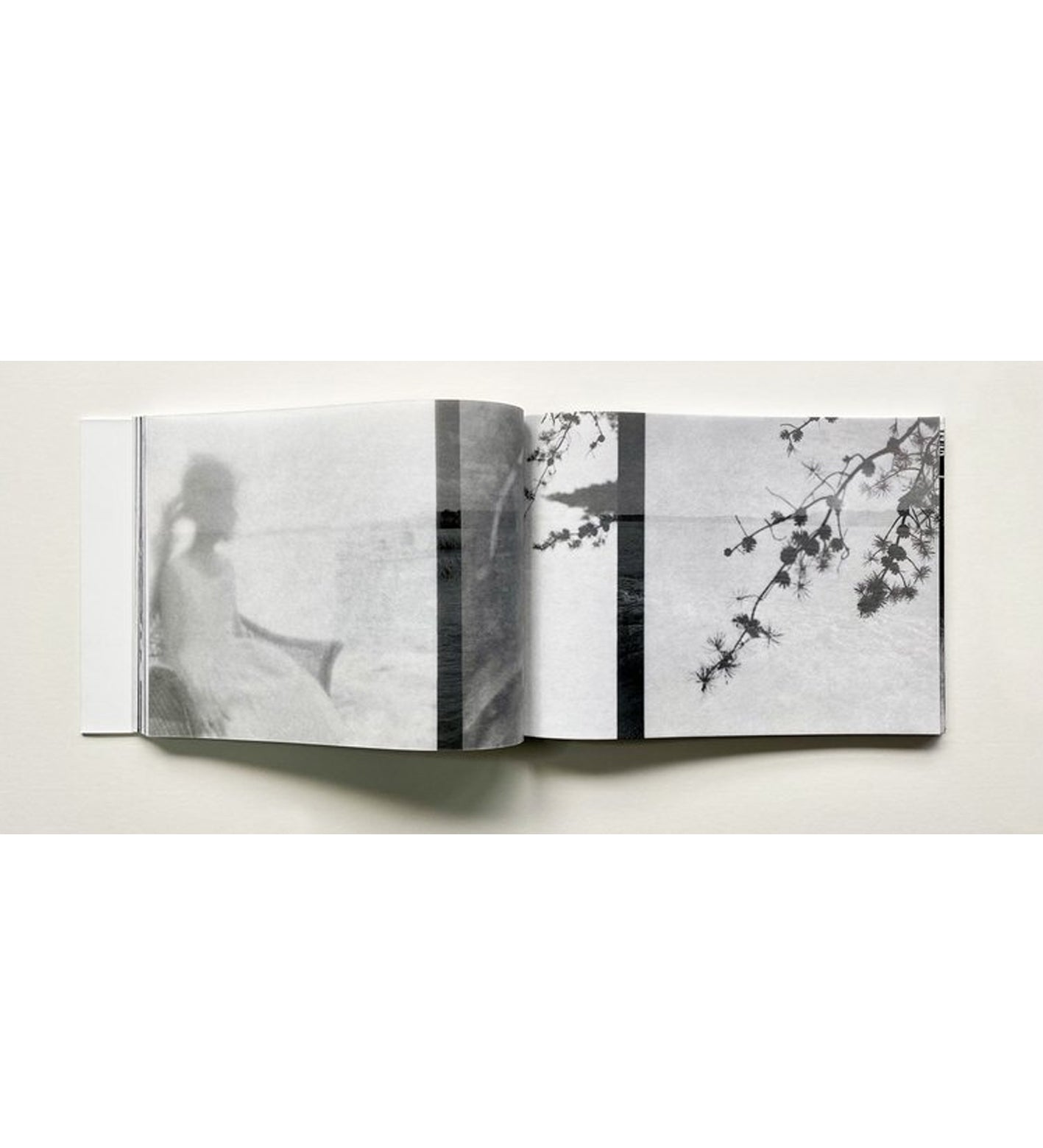 Alyssa Warren: The Lake (signed & numbered)