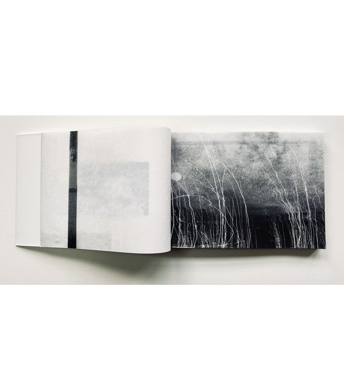 Alyssa Warren: The Lake (signed & numbered)