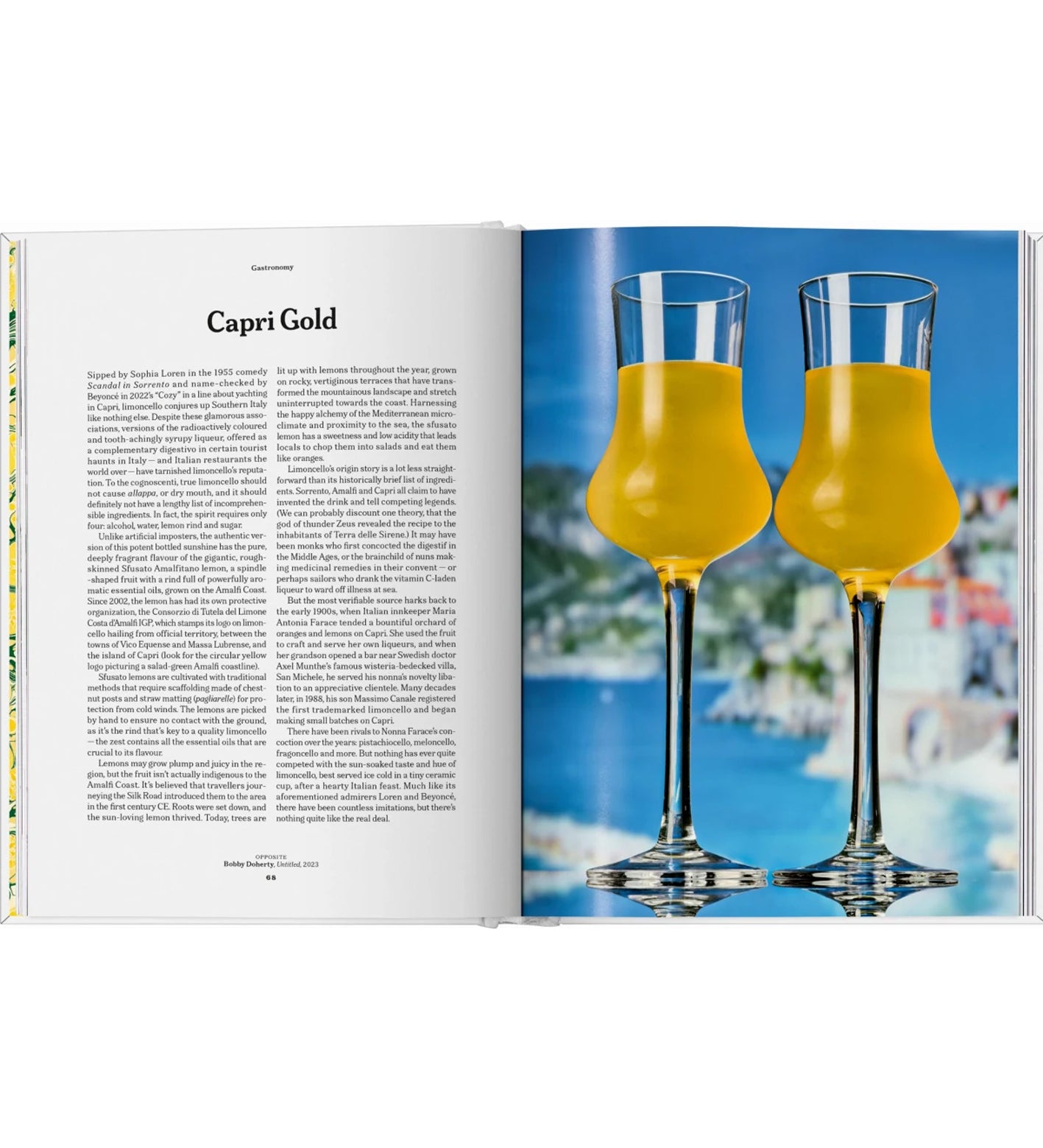 The Gourmand's Lemon. A Collection of Stories & Recipes