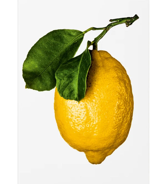 The Gourmand's Lemon. A Collection of Stories & Recipes