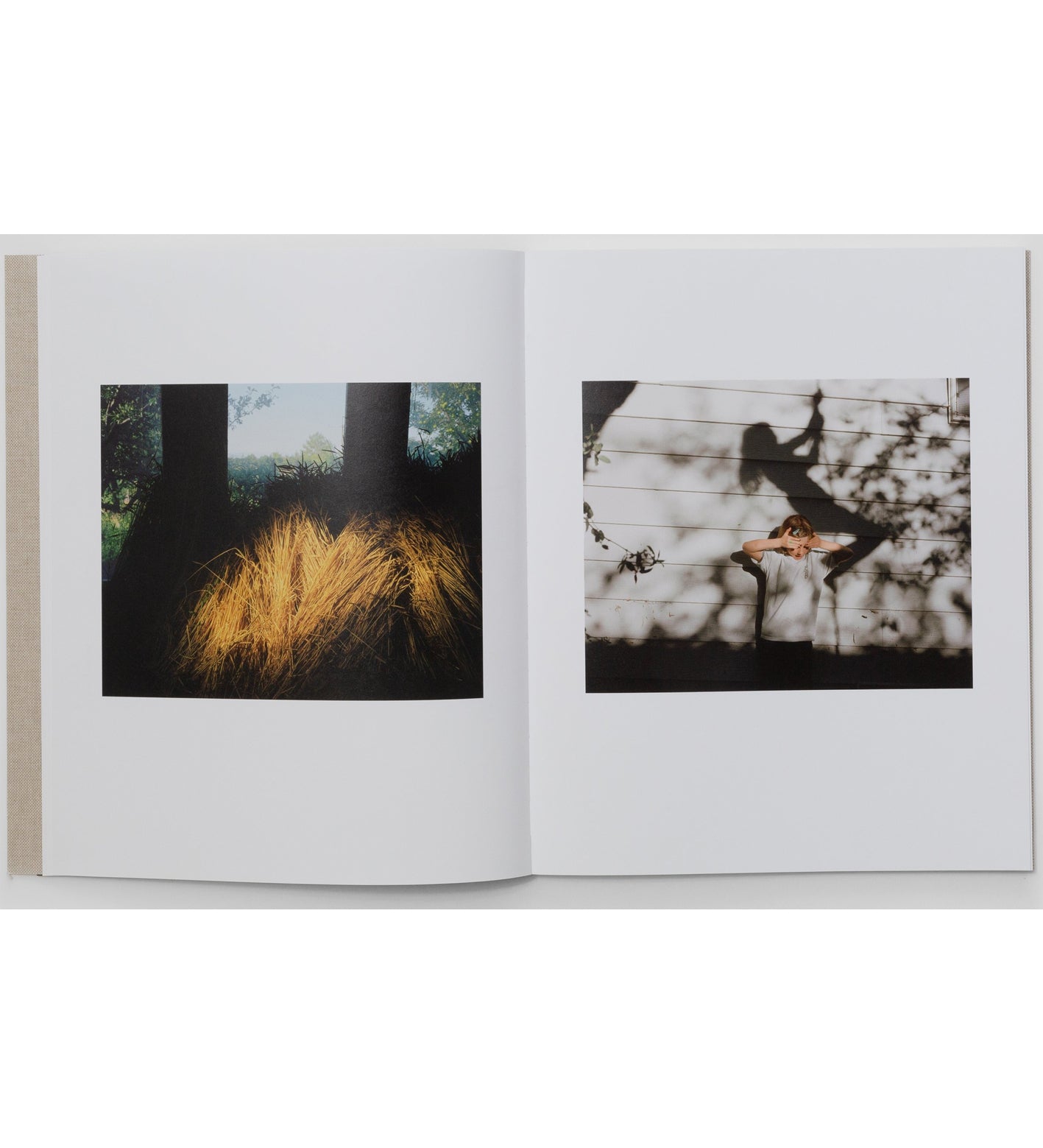Trent Davis Bailey: The North Fork (signed)