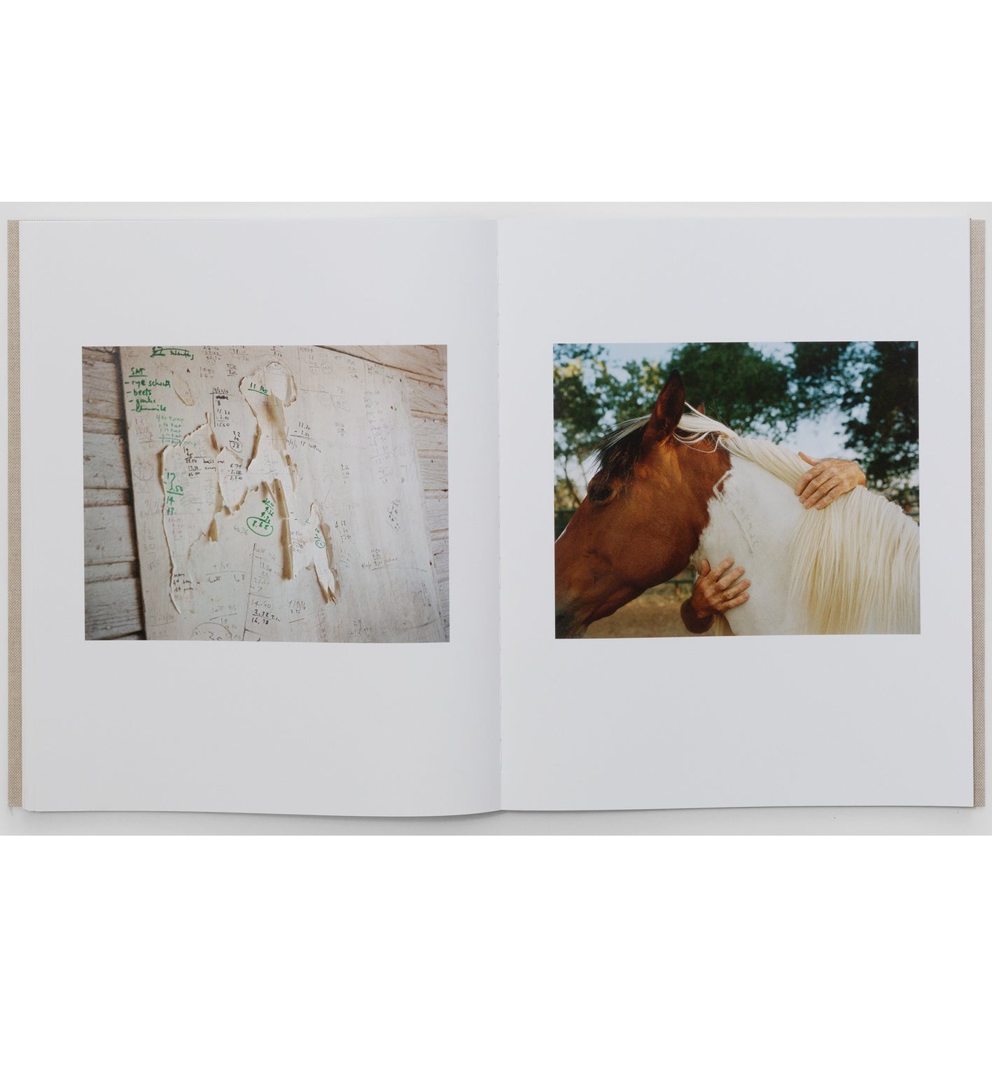Trent Davis Bailey: The North Fork (signed)