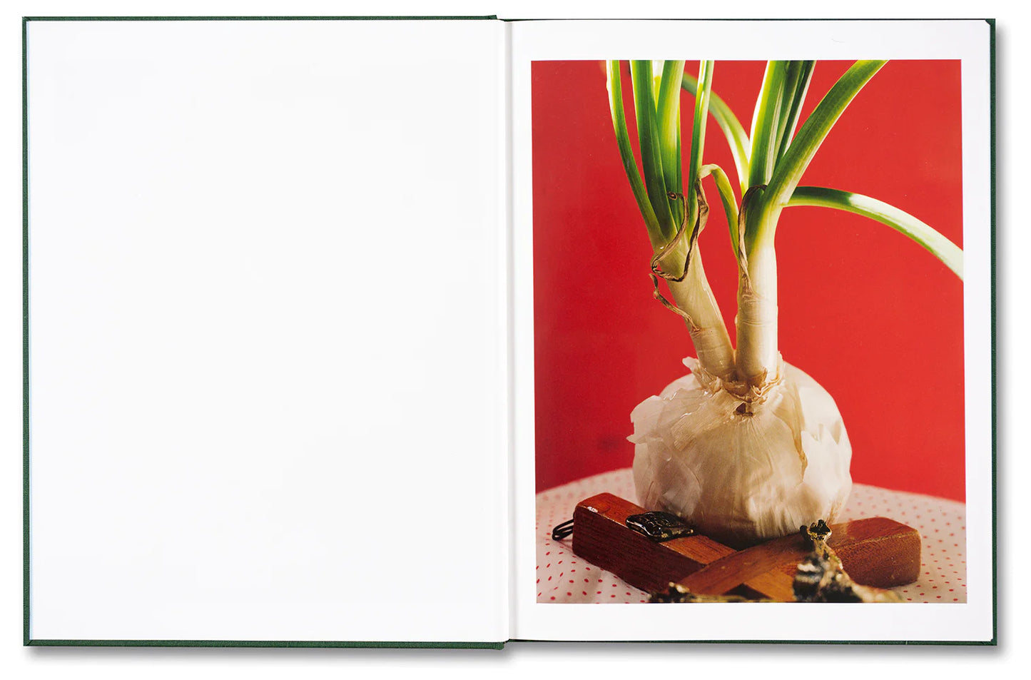 Torbjørn Rødland: The Pregnant Virgin (Signed)