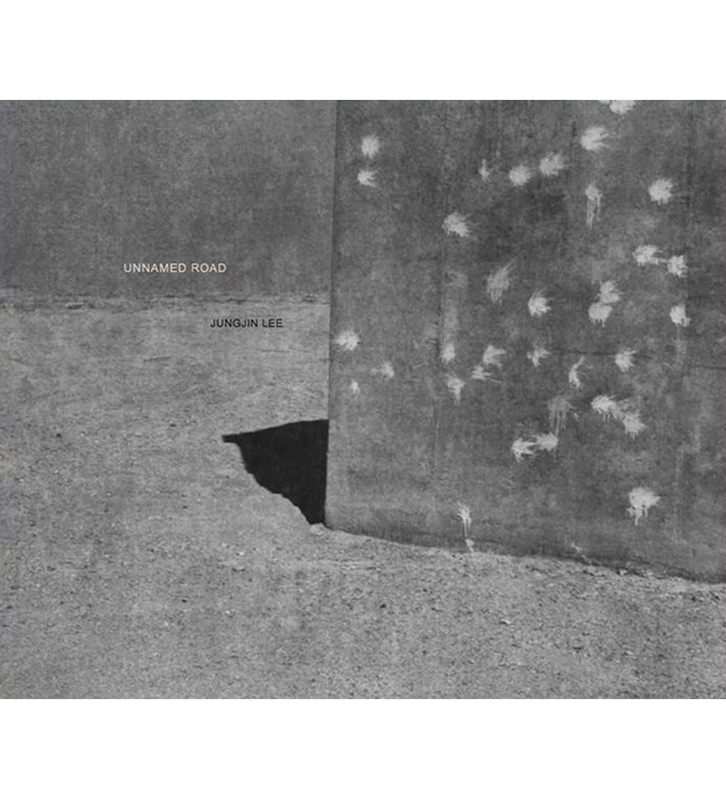 Jungjin Lee: Unnamed Road