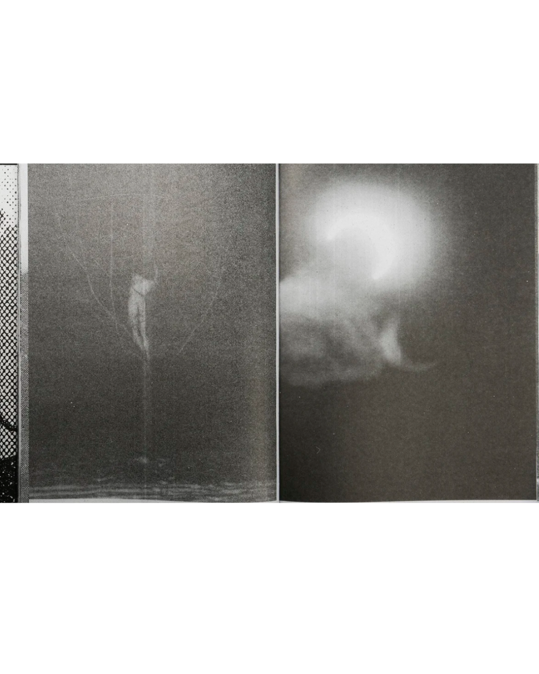 Guilmoth, Pia Paulina & Bull Saffire, Jesse: Fishworm