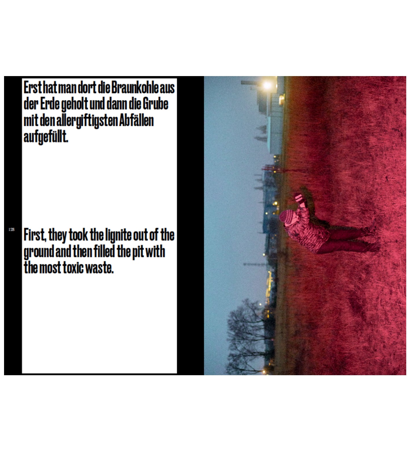 Tobias Zielony: Wolfen