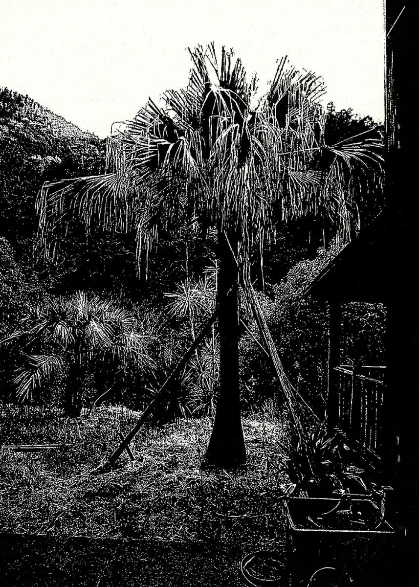 Daido Moriyama: Uwajima (Signed)