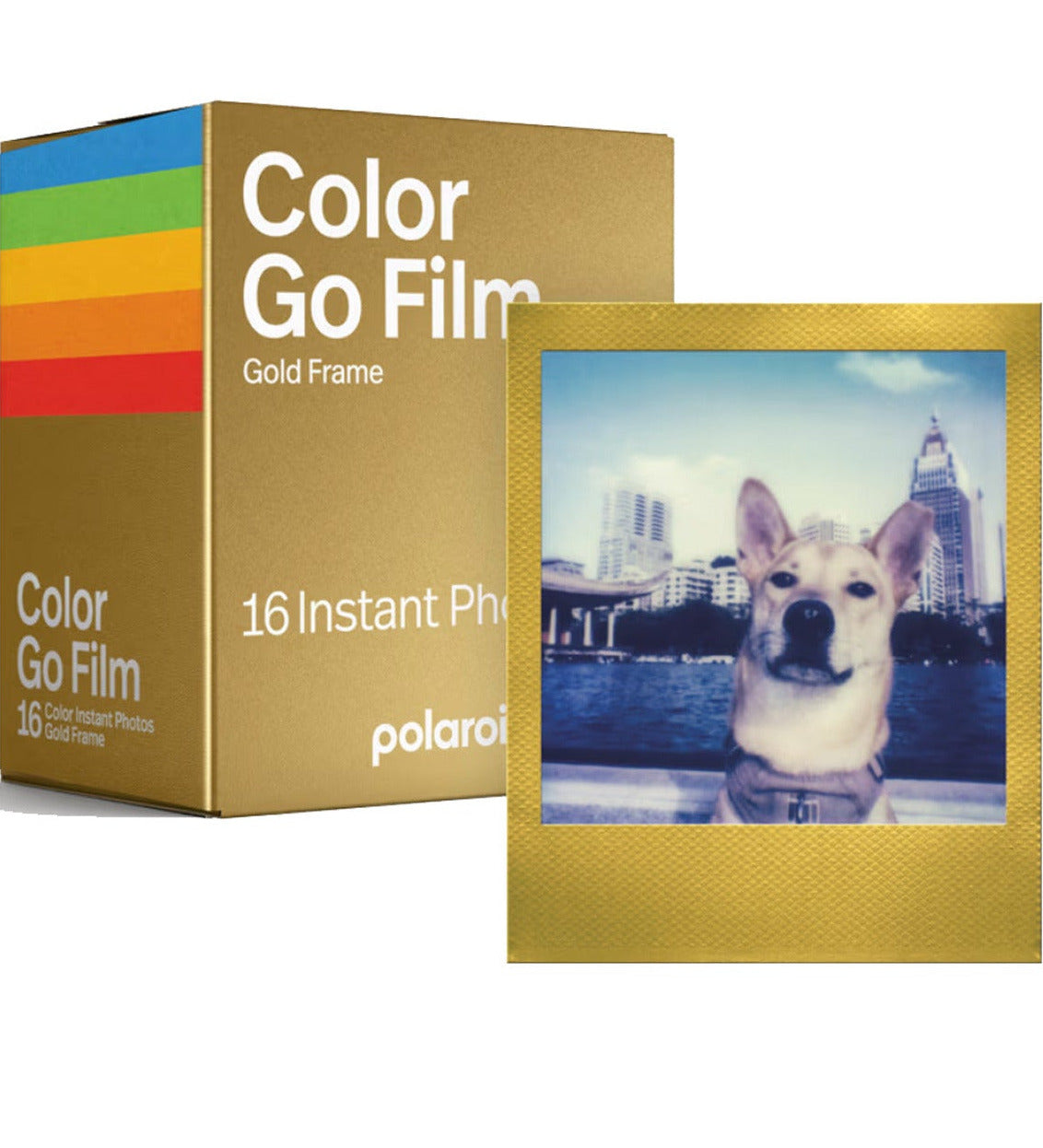 Polaroid Go Color Instant Film Double Pack, Gold Frame