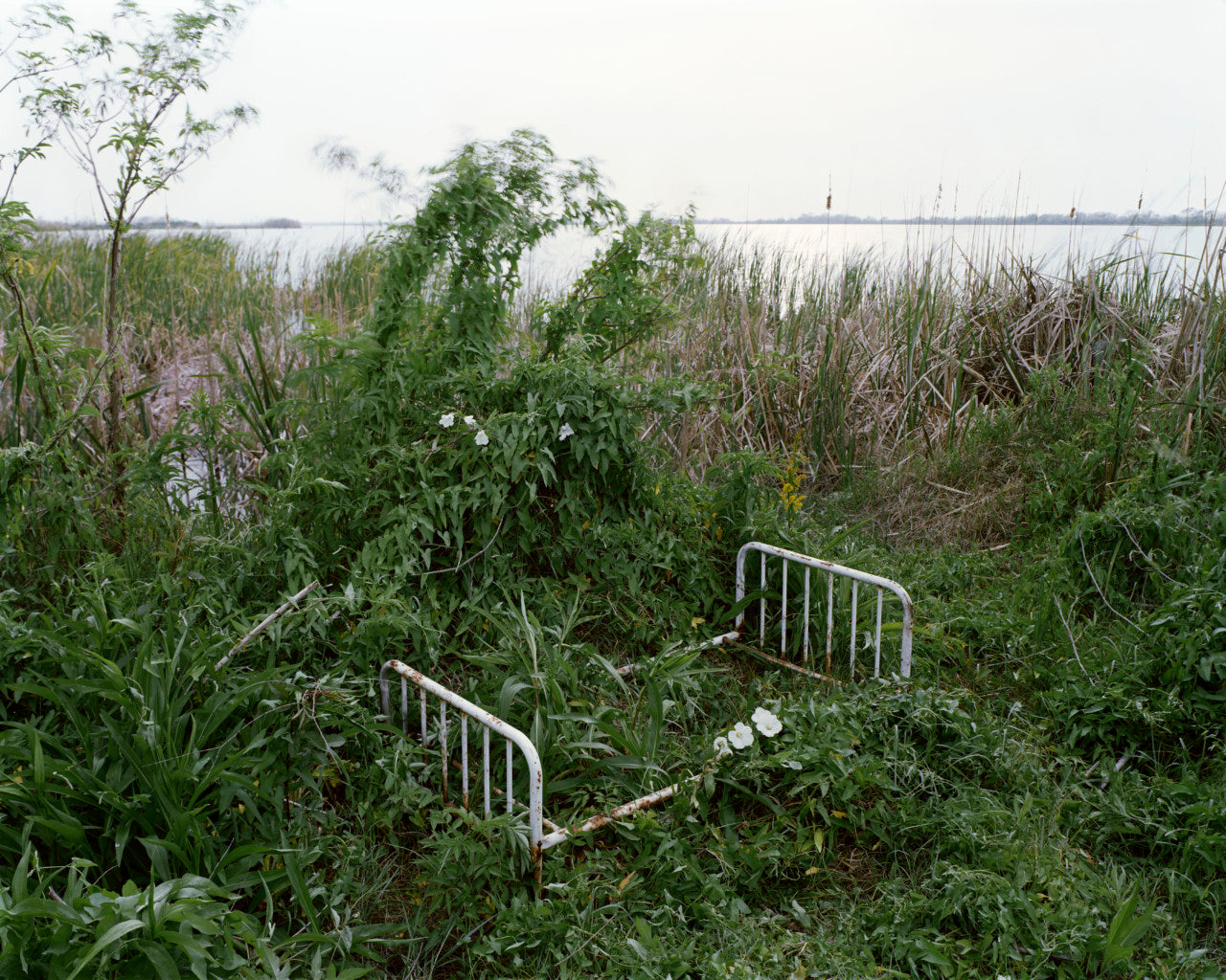 Alec Soth: Sleeping by the Mississippi (Signed)