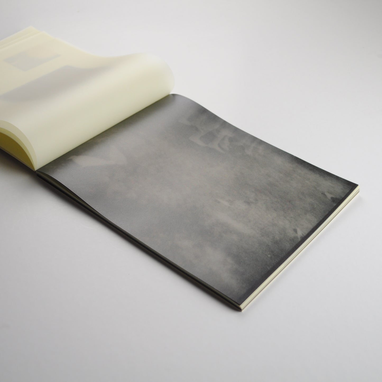Miho Kajioka: So it goes (Signed, out of print)