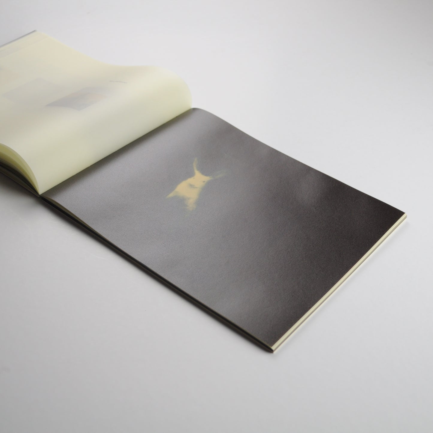 Miho Kajioka: So it goes (Signed, out of print)
