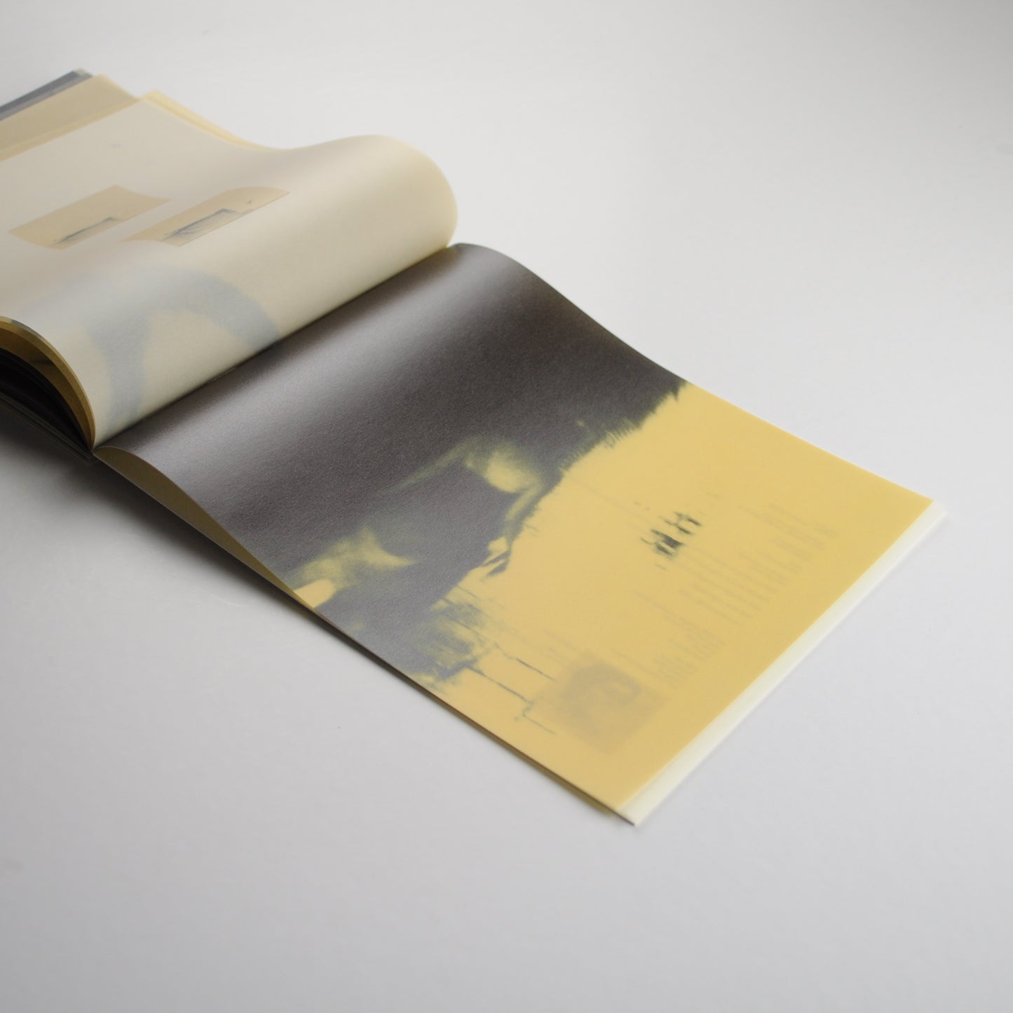 Miho Kajioka: So it goes (Signed, out of print)