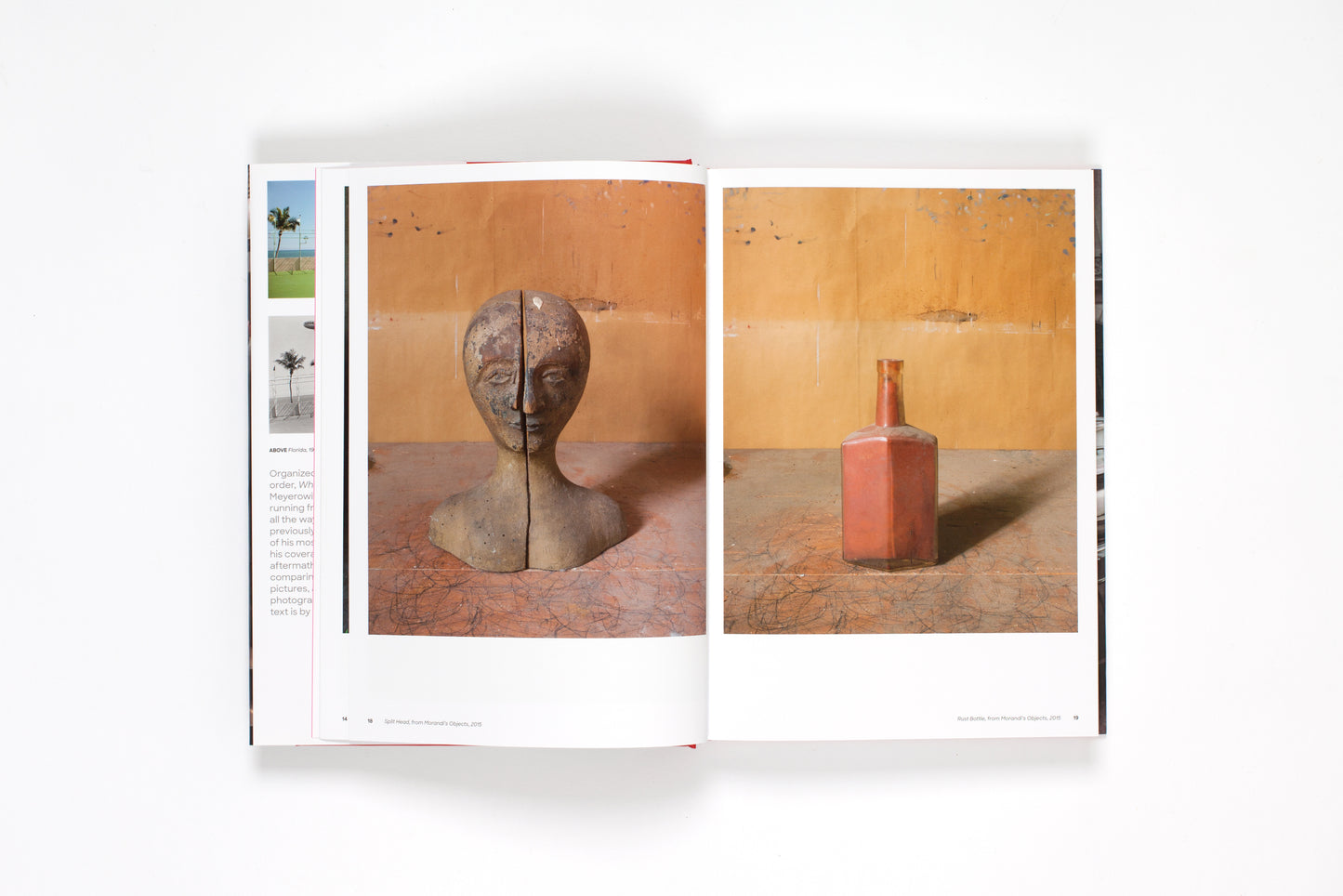 Joel Meyerowitz: Where I Find Myself