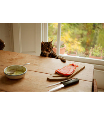 Celine Marchbank: A Stranger in My Mother's Kitchen