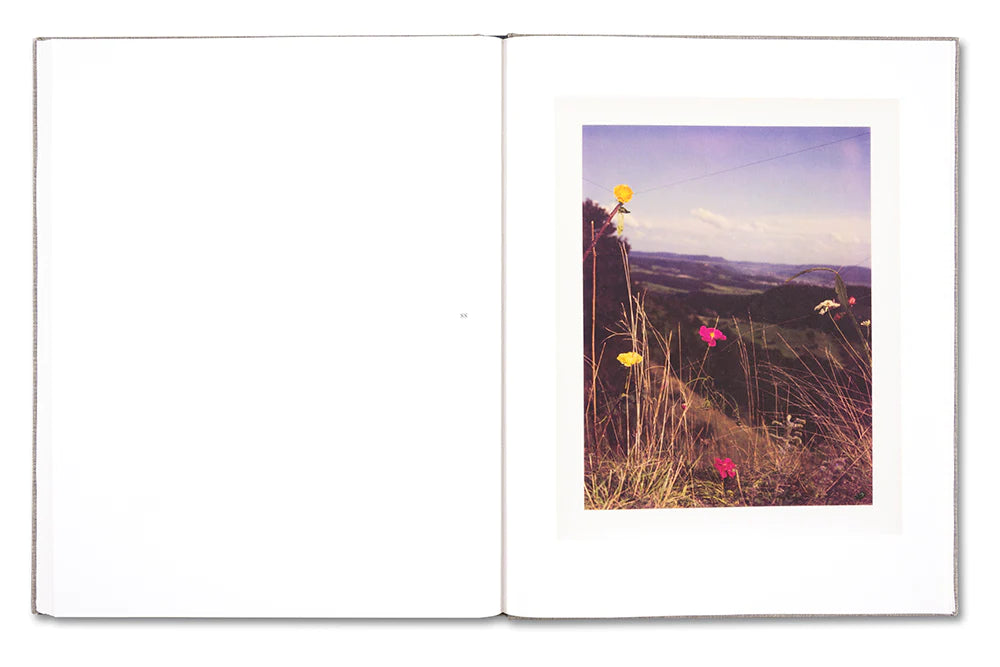 August: Collier Schorr (Signed)