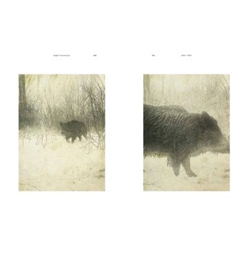Stephen Gill: Coming up for Air - A Retrospective (Signed)
