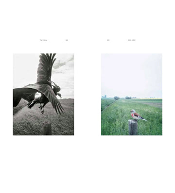 Stephen Gill: Coming up for Air - A Retrospective (Signed)