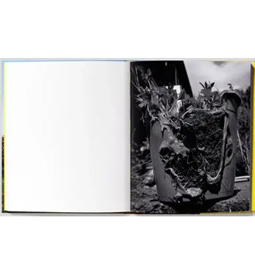 Kuba Ryniewicz: Daily Weeding