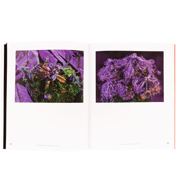 Richard Mosse: Displaced