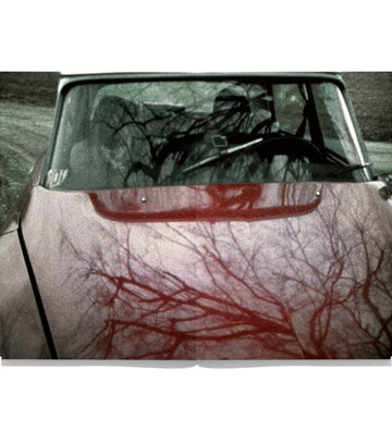 Seiichi Furuya: First Trip to Bologna 1978 / Last Trip to Venice 1985