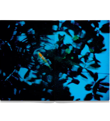Seiichi Furuya: First Trip to Bologna 1978 / Last Trip to Venice 1985