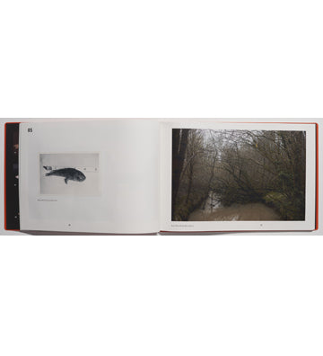 Luke Stephenson: British Record Fish (Signed)